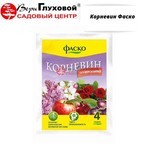 Корневин Фаско