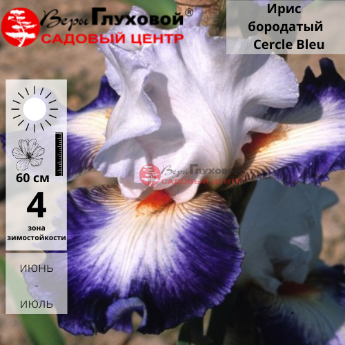 Основное изображение товара